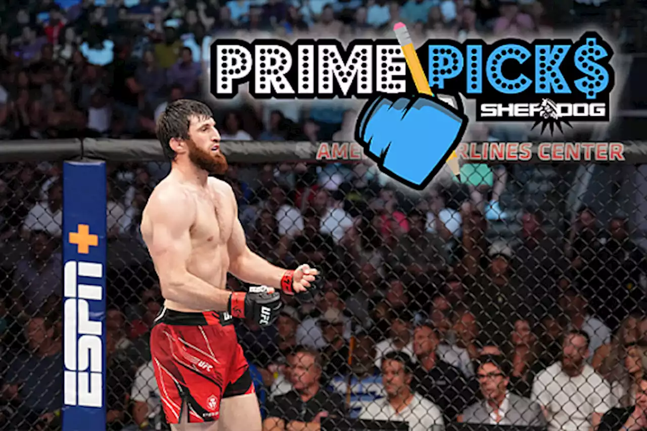 Prime Picks: UFC 282 ‘Blachowicz vs. Ankalaev’