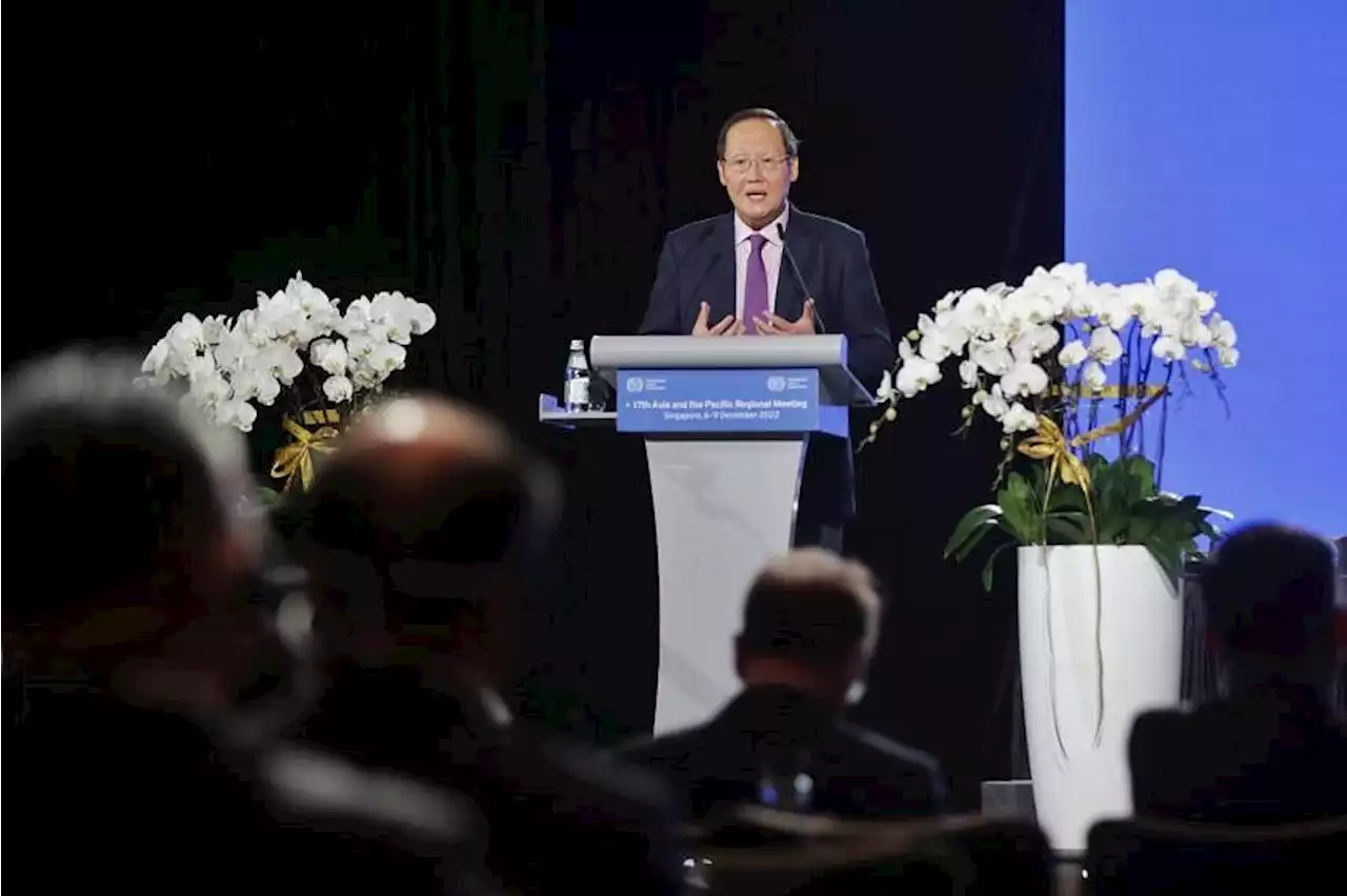 Singapore Statement adopted at 4-day UN labour agency meeting