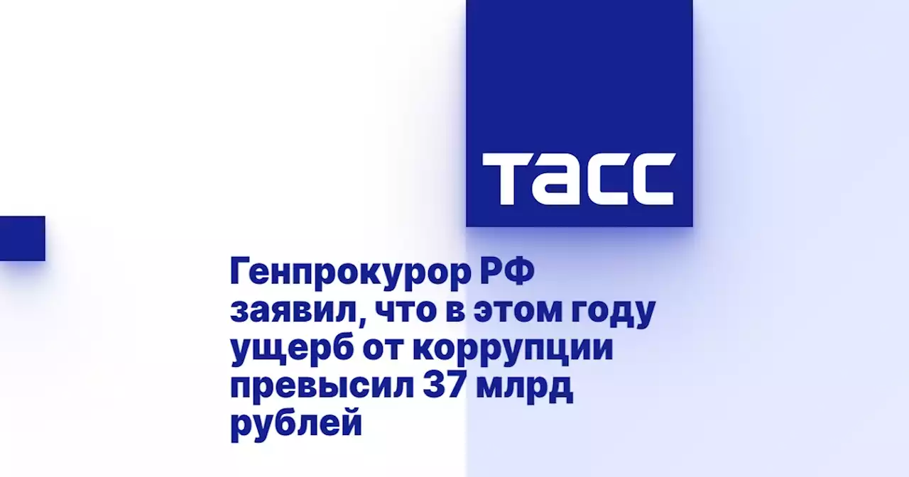 Генпрокурор РФ заявил, что в этом году ущерб от коррупции превысил 37 млрд рублей