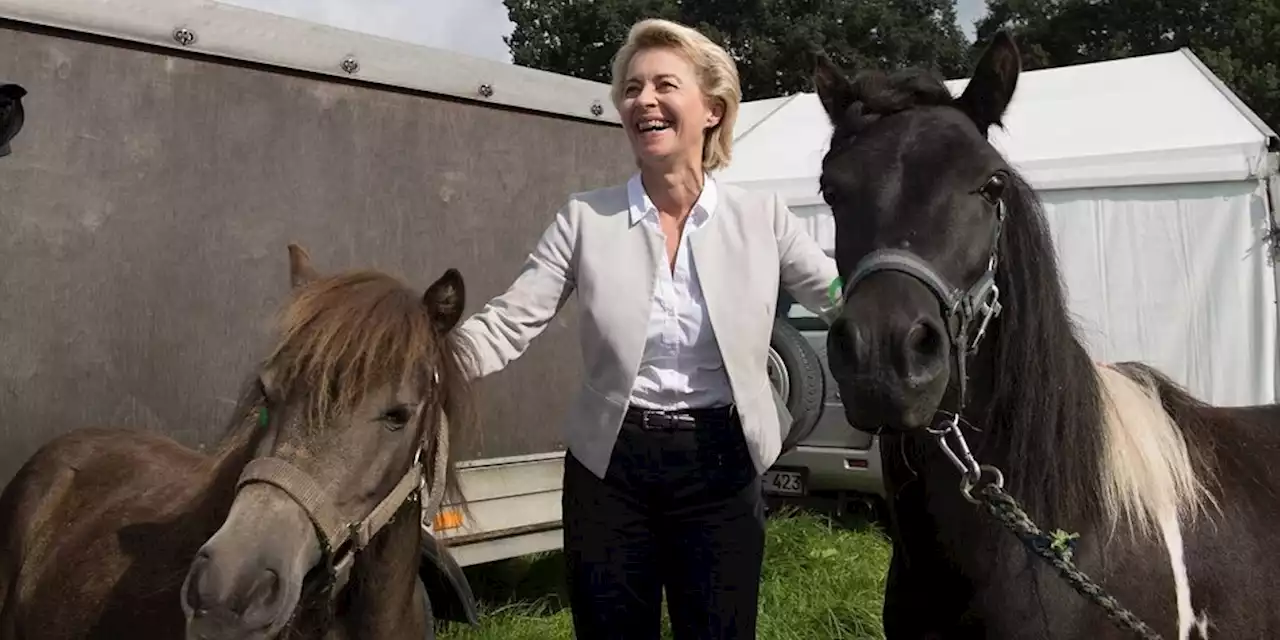 Wolf riss Pferd von Ursula von der Leyen: Ponykiller zum Abschuss freigegeben