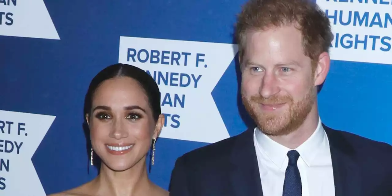 Meghan Markle : comment son chien a joué un rôle dans la demande en mariage du prince Harry