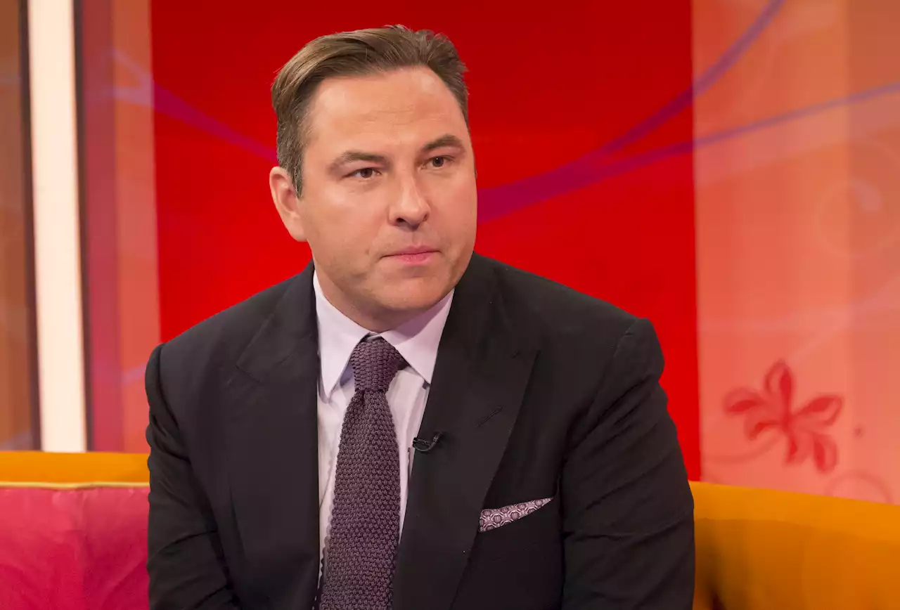 David Walliams embroiled in mile high row with first class passenger