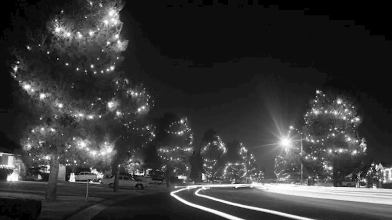 Photos: Tucson's Winterhaven Festival of Lights through the years