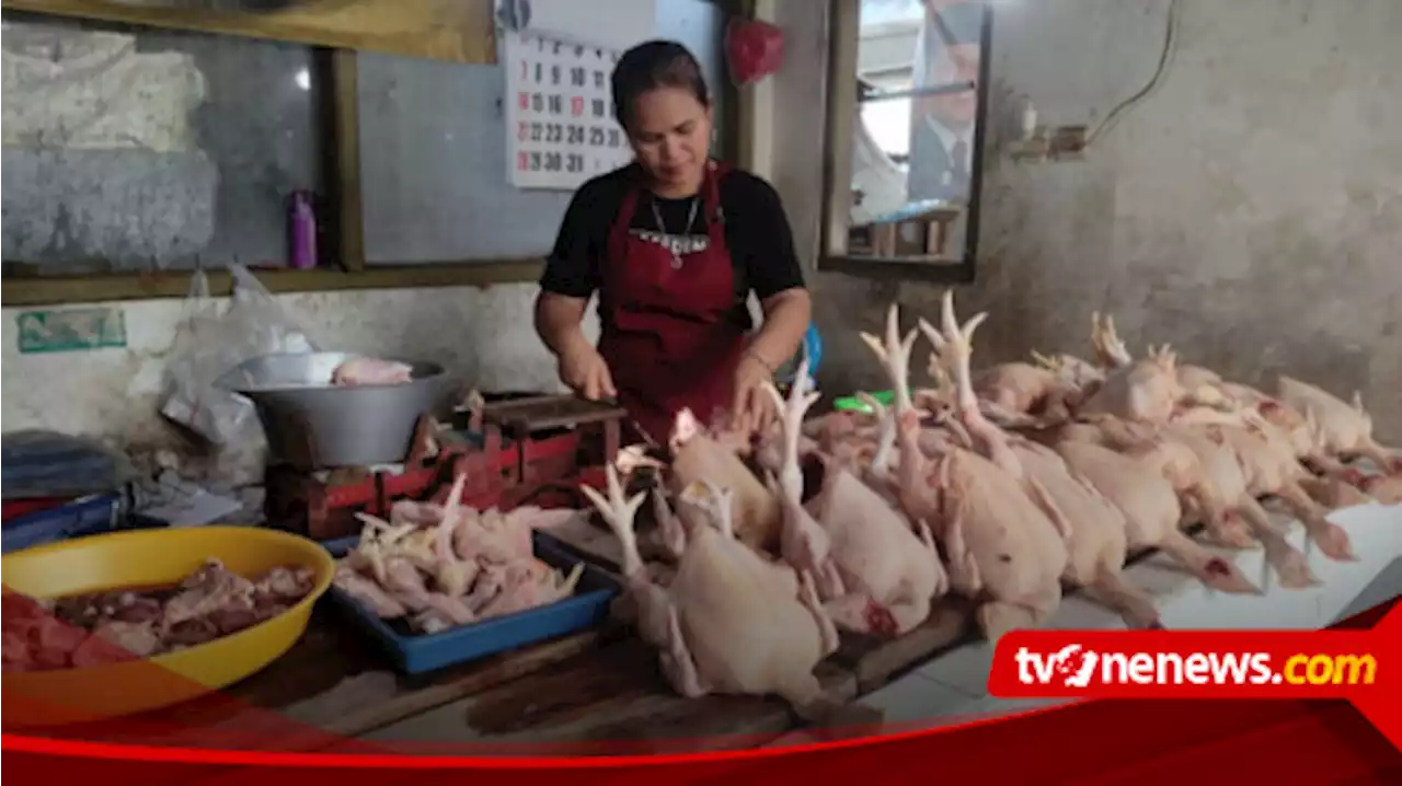 Jelang Natal dan Tahun Baru, Harga Komoditi Lain Naik, Harga Daging Ayam di Kota Blitar Turun