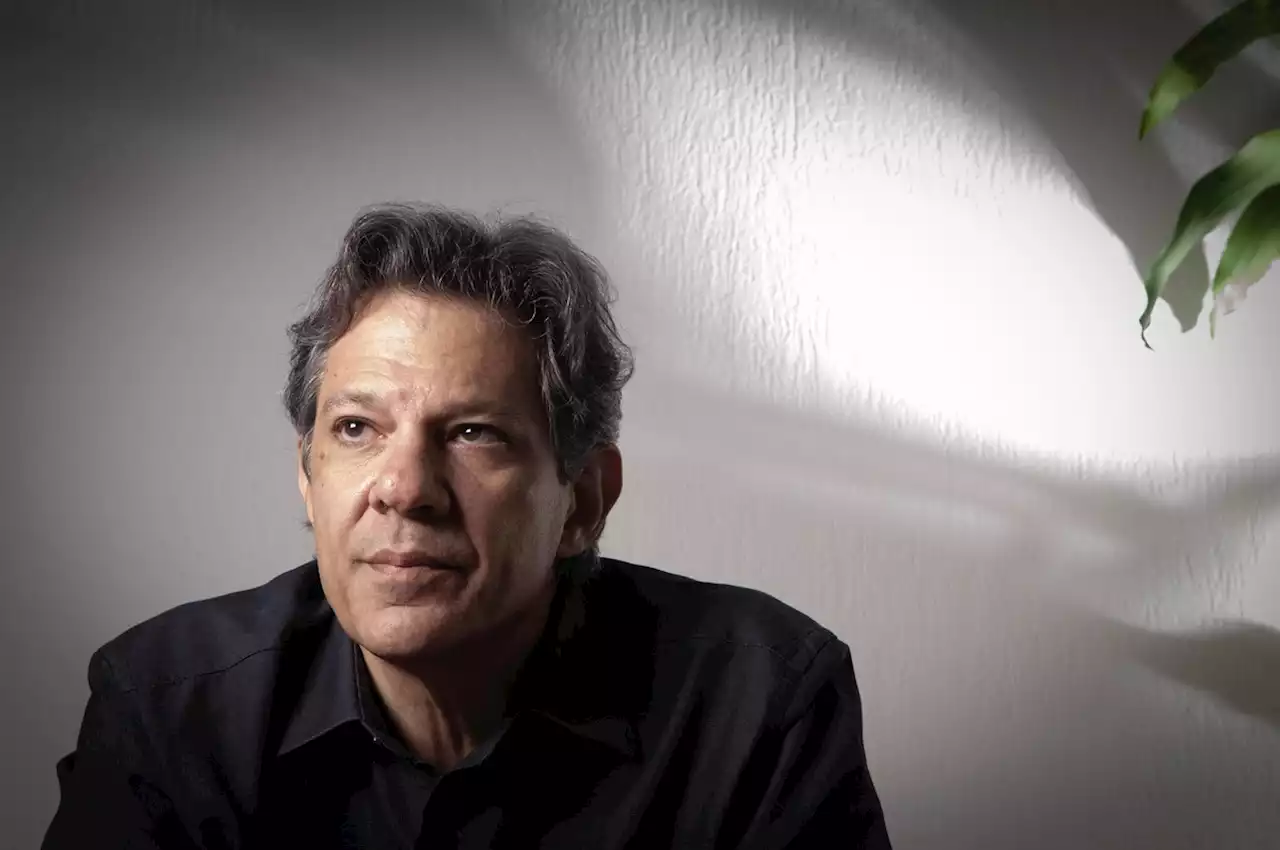 Quem é Fernando Haddad, ministro da Fazenda do governo Lula, e qual a formação dele