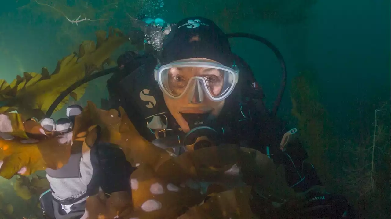 Going deep to save the ocean with biologist, explorer Sylvia Earle