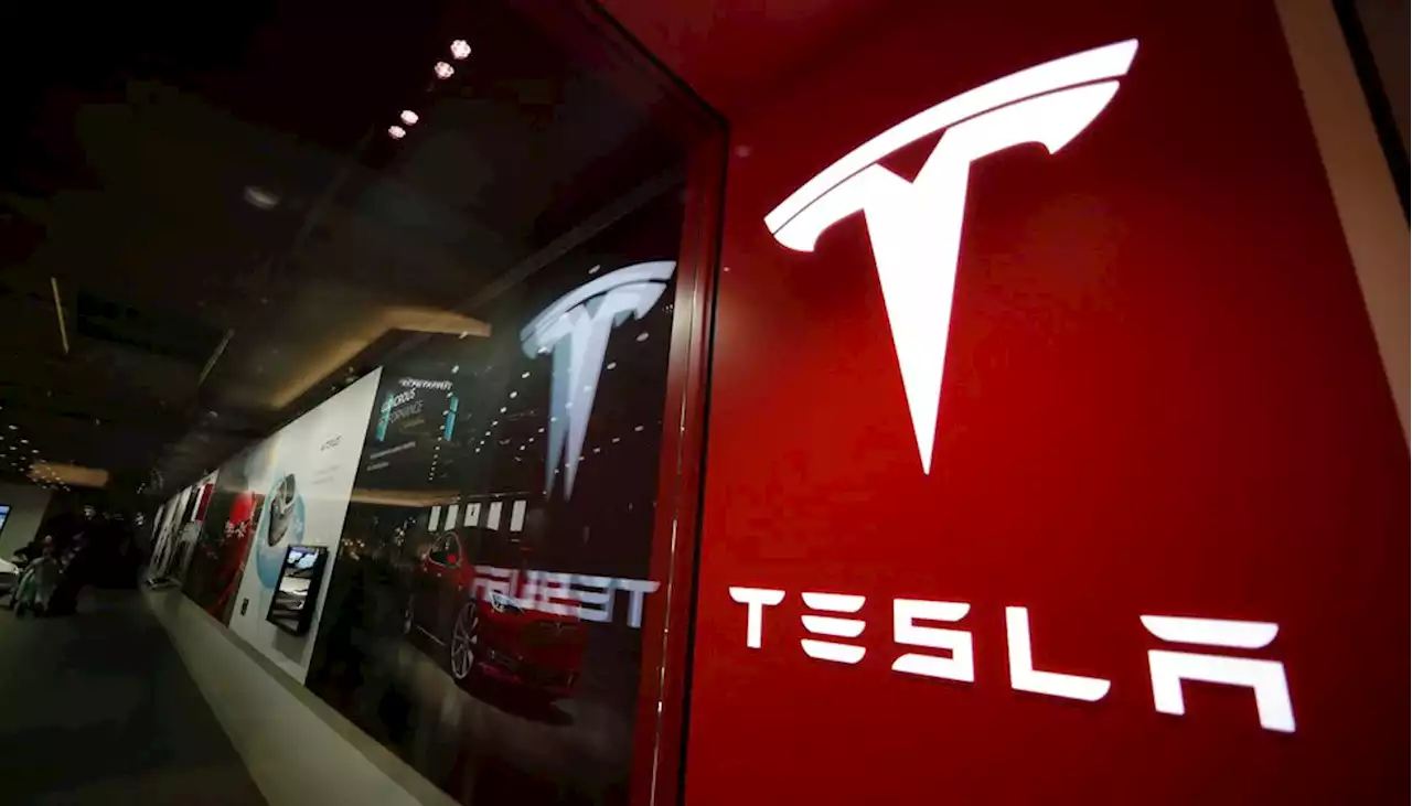 Tesla recall: ‘Full Self-Driving’ software runs stop signs