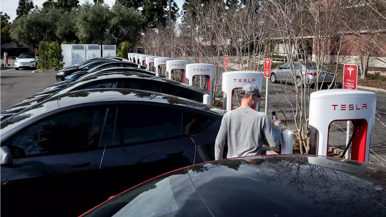 Tesla agrees to fix 'rolling stop' software feature over safety fears