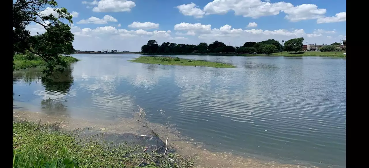 Cleanup And Dredging Begins At Bachman Lake In Dallas