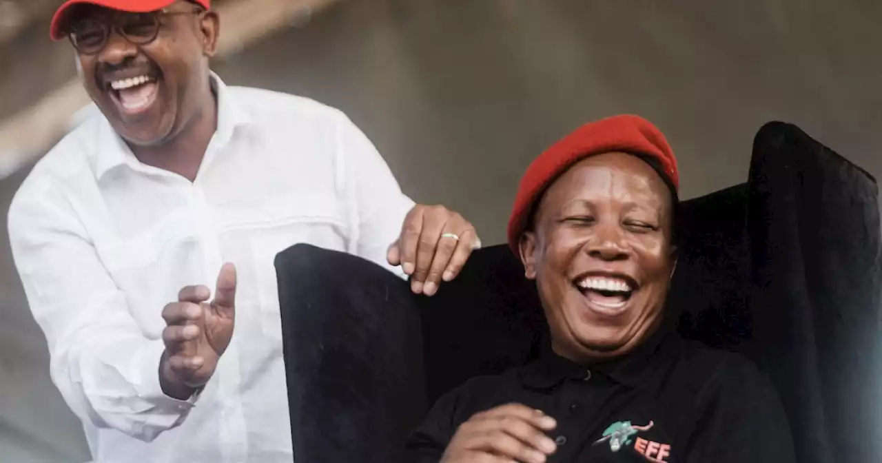 Civic group not happy with Malema, Mpofu taking part in Chief Justice interviews