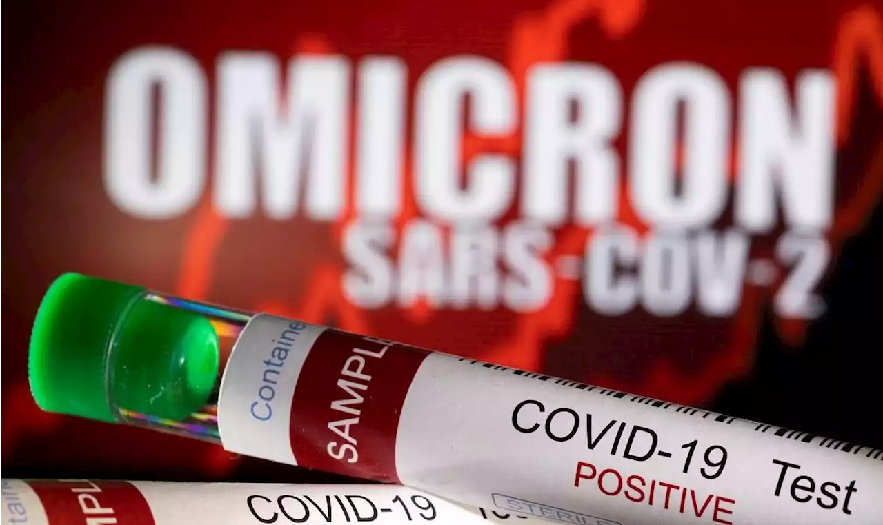 Omicron subvariant BA.2 more infectious than 'original', Danish study finds