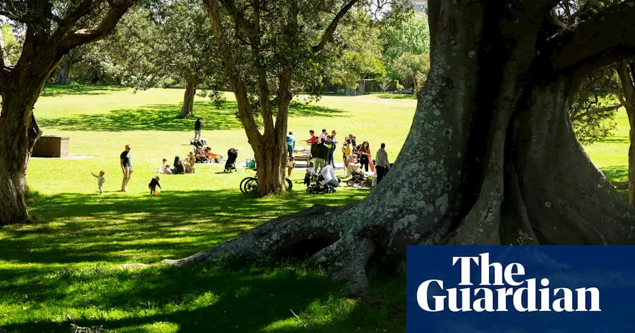 ‘Liquid gold’: Australian scientists look to recycle human urine to fertilise city parks