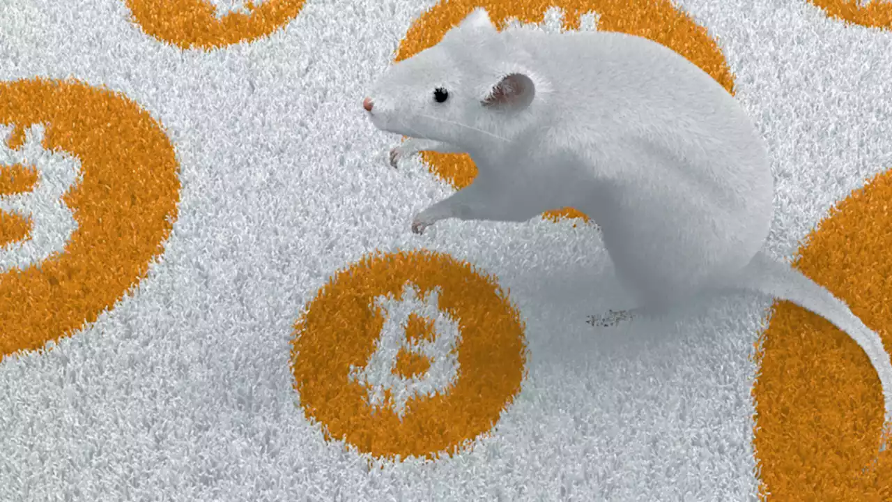 A DAO Wants To Inject Bitcoin Into Mouse DNA via a Genetically Modified Virus