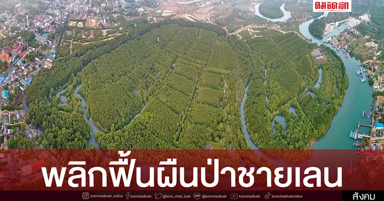 กรม ทช. จับมือ ปตท. จัดทำศูนย์ศึกษาเรียนรู้ระบบนิเวศป่าชายเลนสิรินาถราชินี