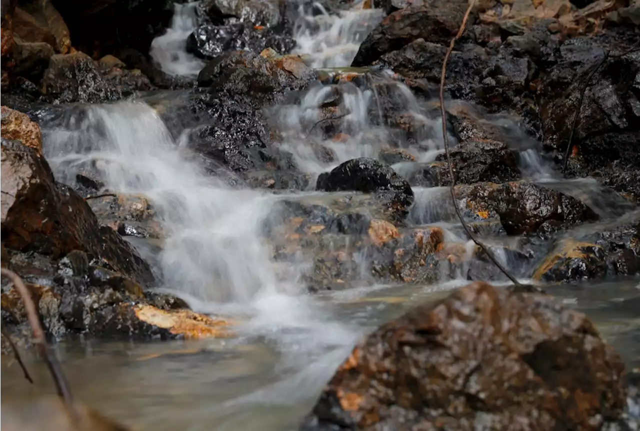 4 spectacular Bay Area waterfall hikes for winter walks