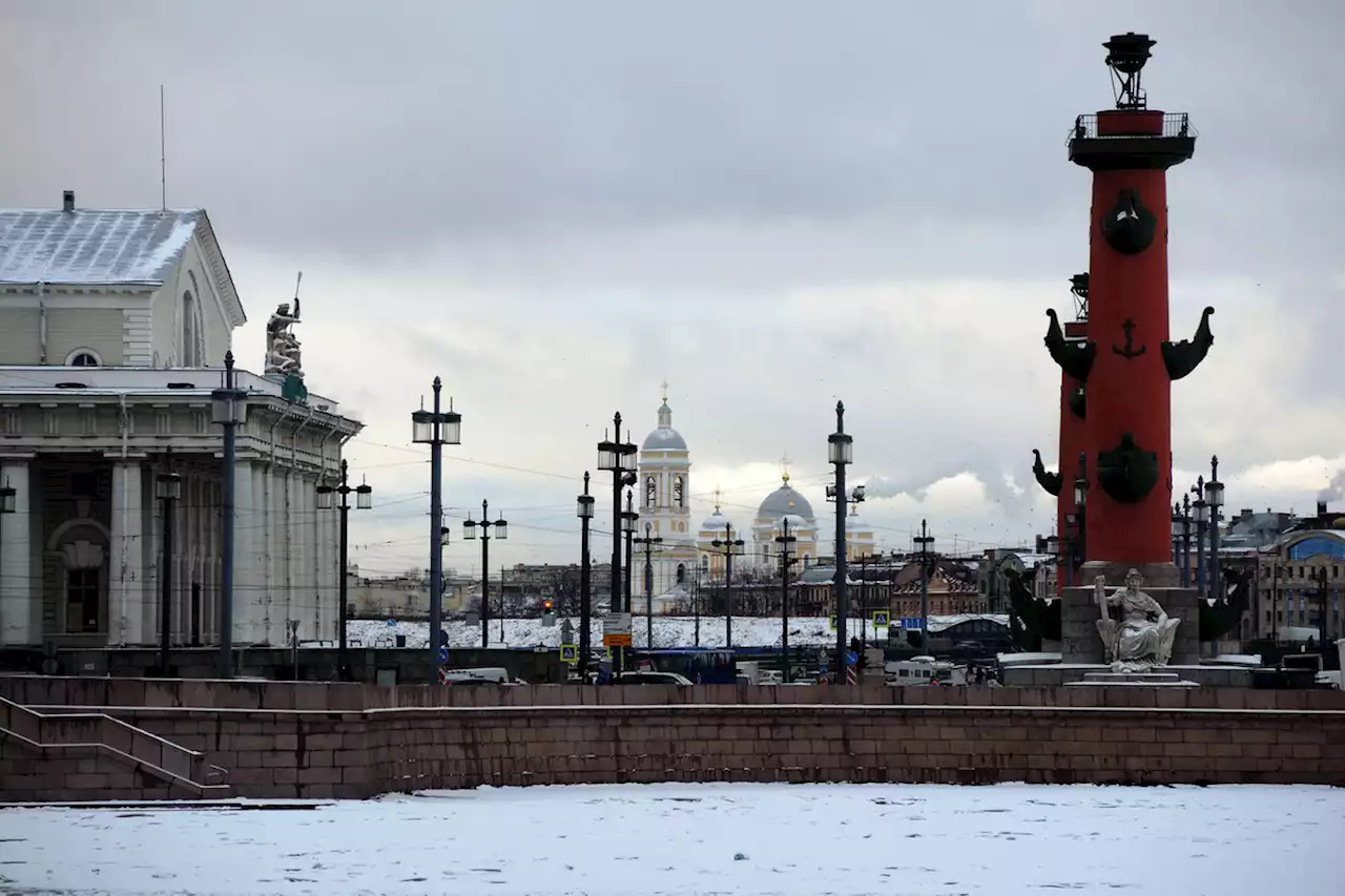 Названы непонятные москвичам слова из Петербурга: 'бадлон, путяга, хабарик'