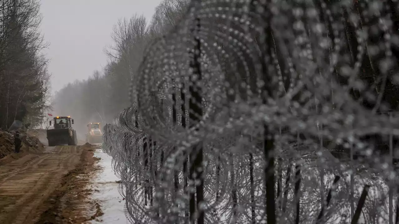 Poland’s border wall to cut through Europe’s last old-growth forest