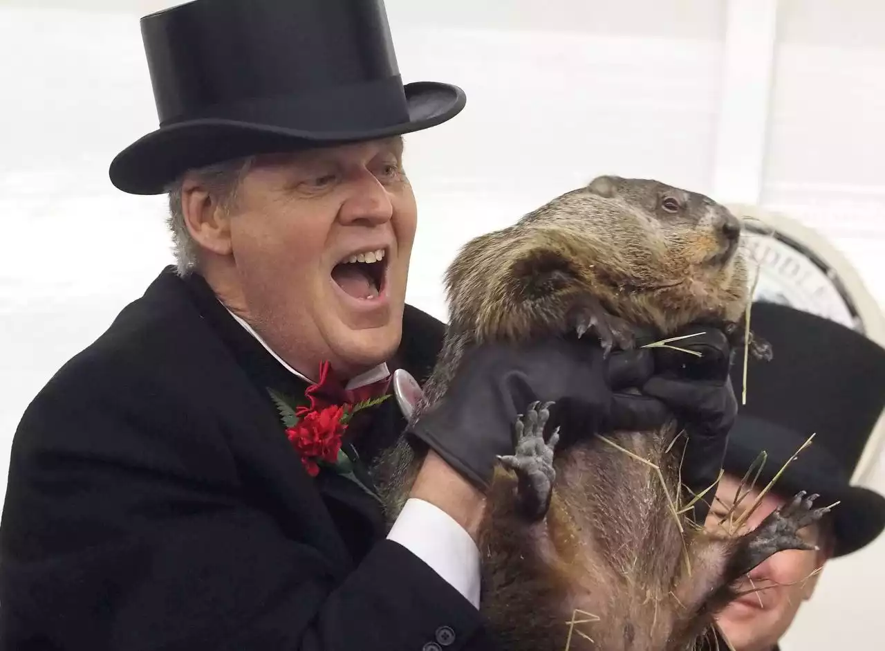 N.J.’s weather-predicting groundhog Milltown Mel dies before his big day