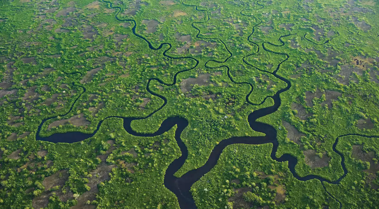 A freshwater, saltwater tug-of-war is eating away at the Everglades