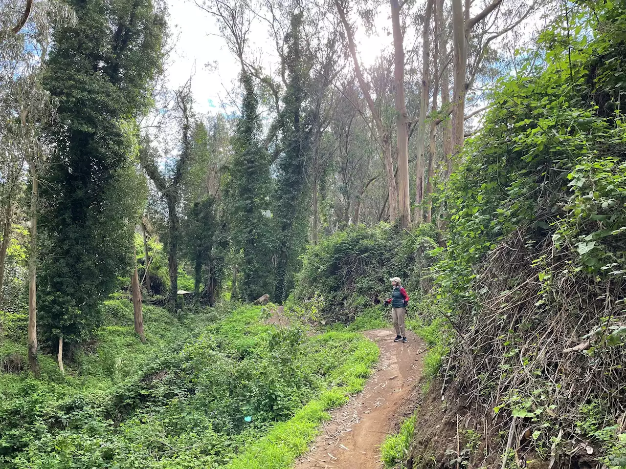 SF's 'Bedpan Alley' transformed into over two miles of trails