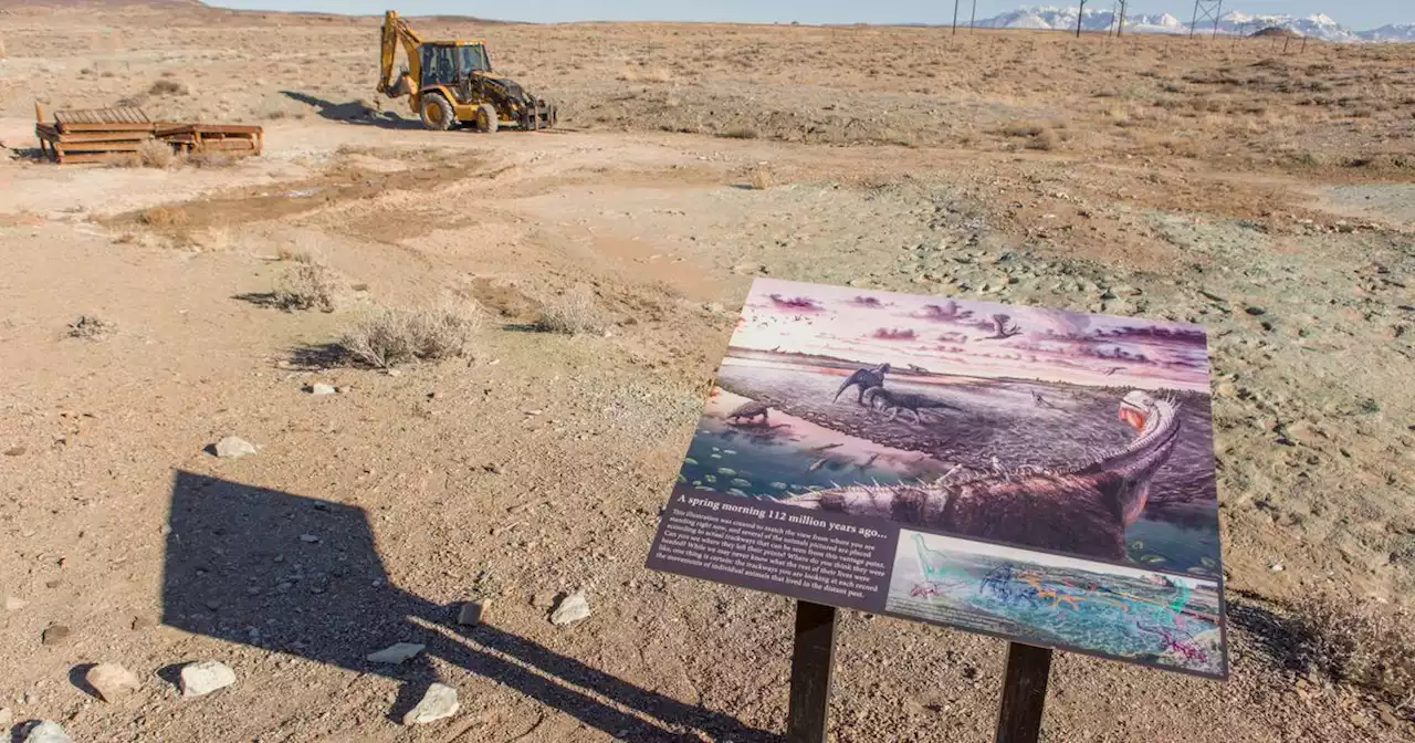 112 million-year-old dinosaur tracks near Moab damaged by machinery, experts say