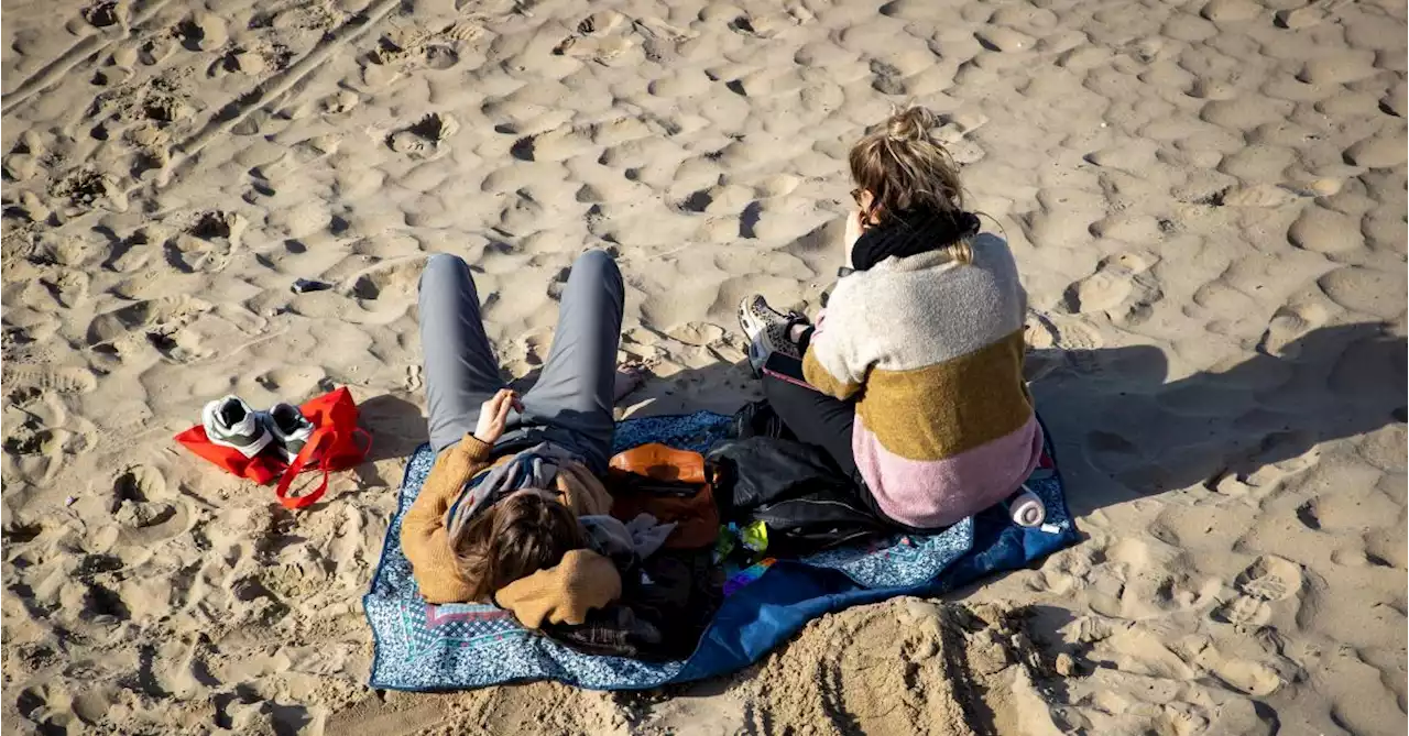 Météo: un mois de janvier 2022 un peu plus chaud que la normale