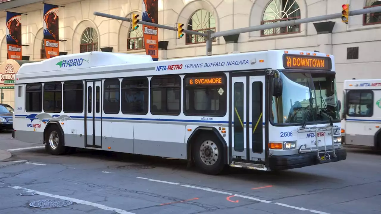 Sight Of Man Getting Hit By Bus Less Funny Than Movies Make It Seem