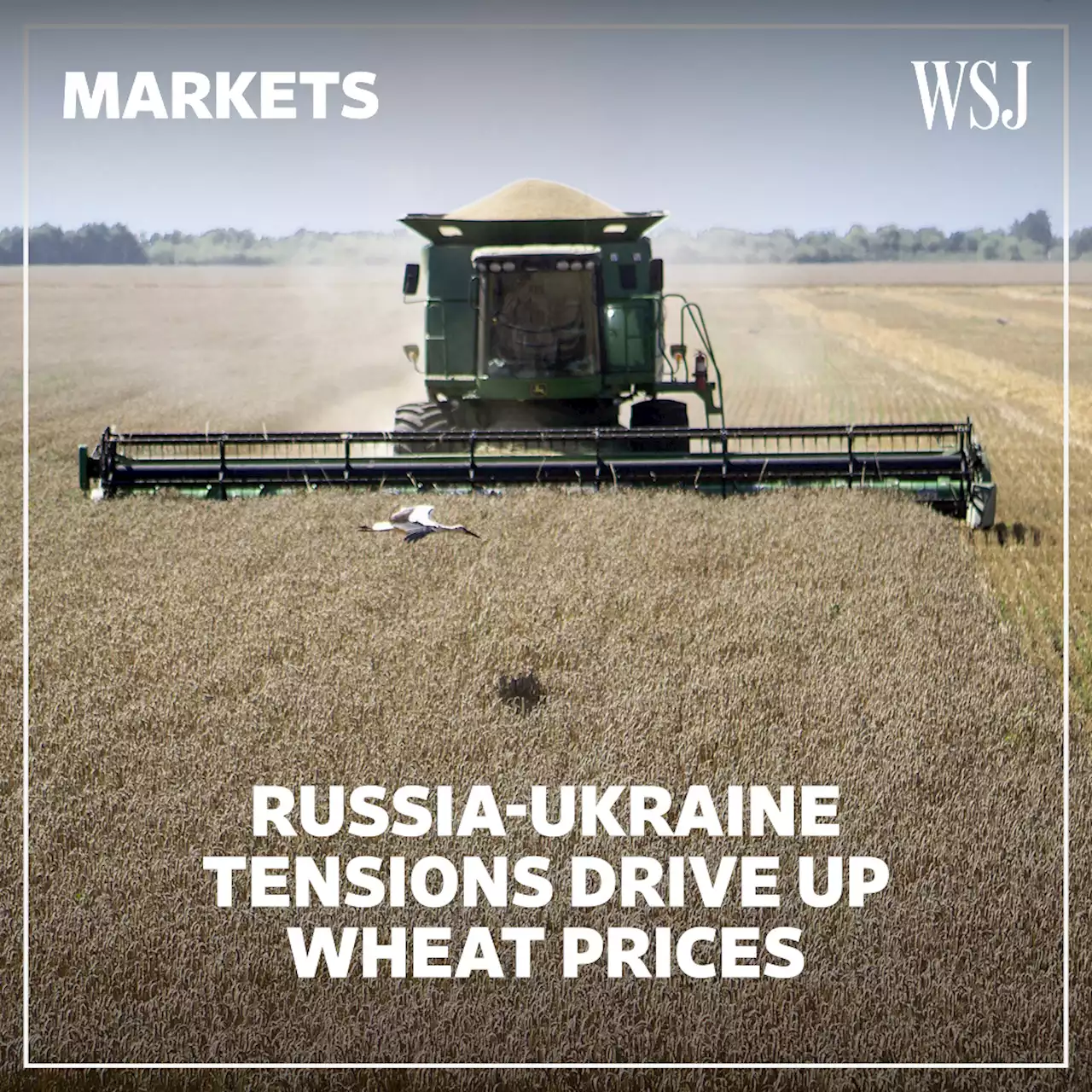 Russia-Ukraine Tensions Drive Global Wheat Prices Higher