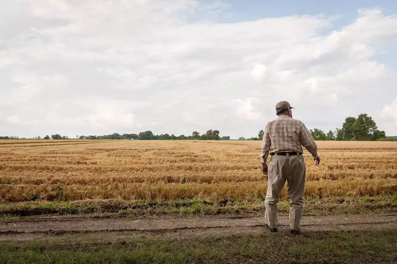 Farmers flourish under Biden, see recovery from Trump-era trade wars