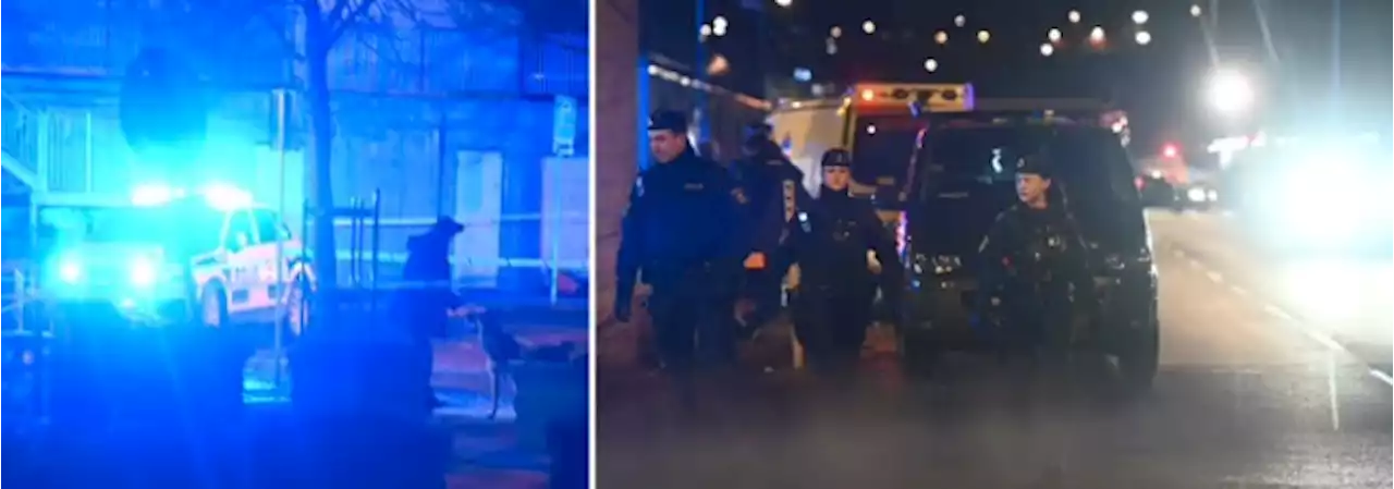 Sju unga anhållna efter mord på torg – kan ha fångats på film