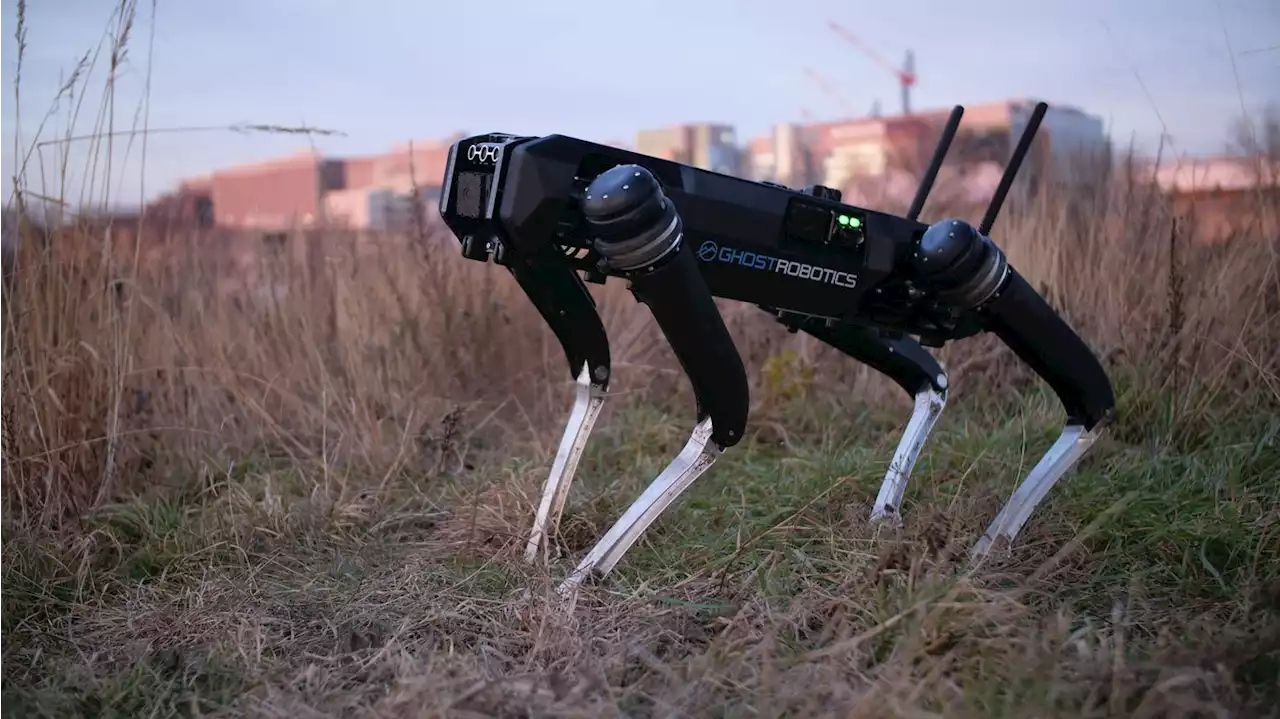 Robot dogs could soon help patrol the U.S.-Mexico border