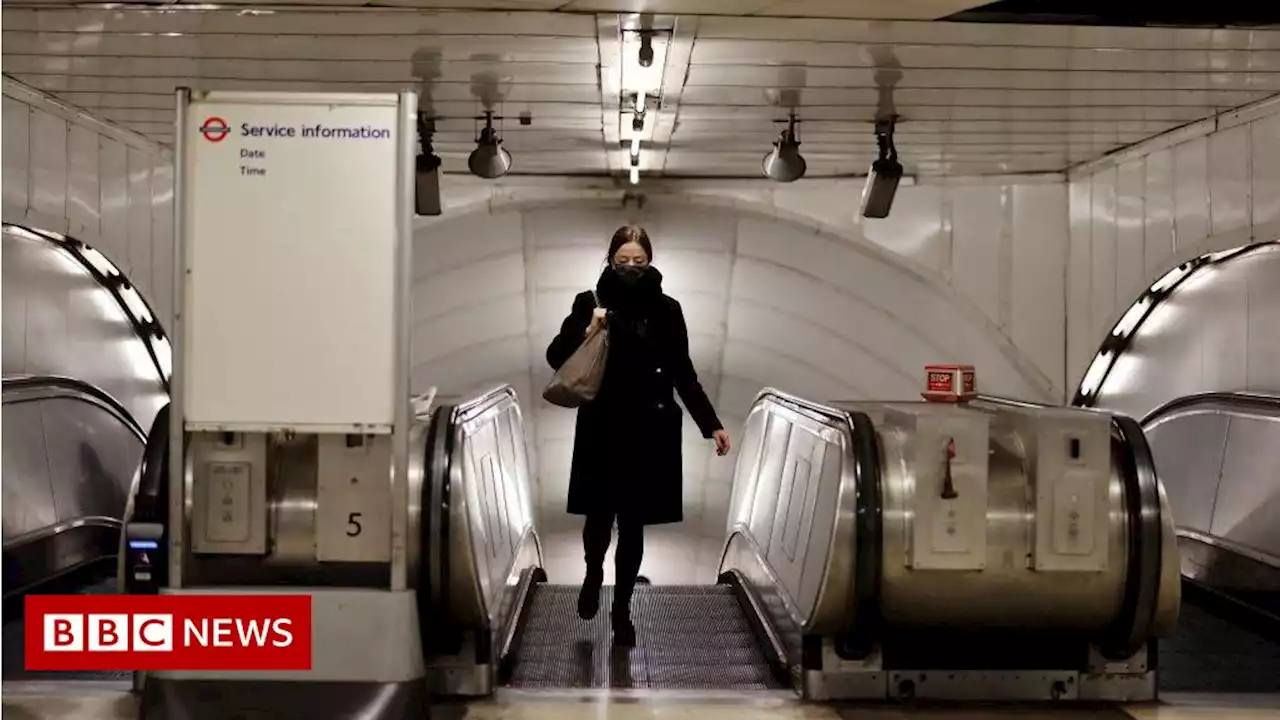 London Tube and bus passenger numbers recovering after lockdown