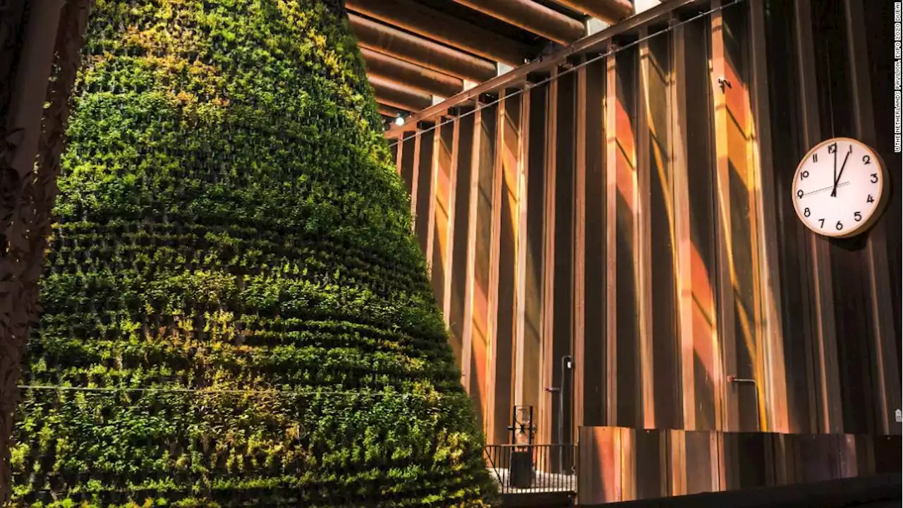 The Netherlands Expo pavilion makes its own water to grow food in the desert heat