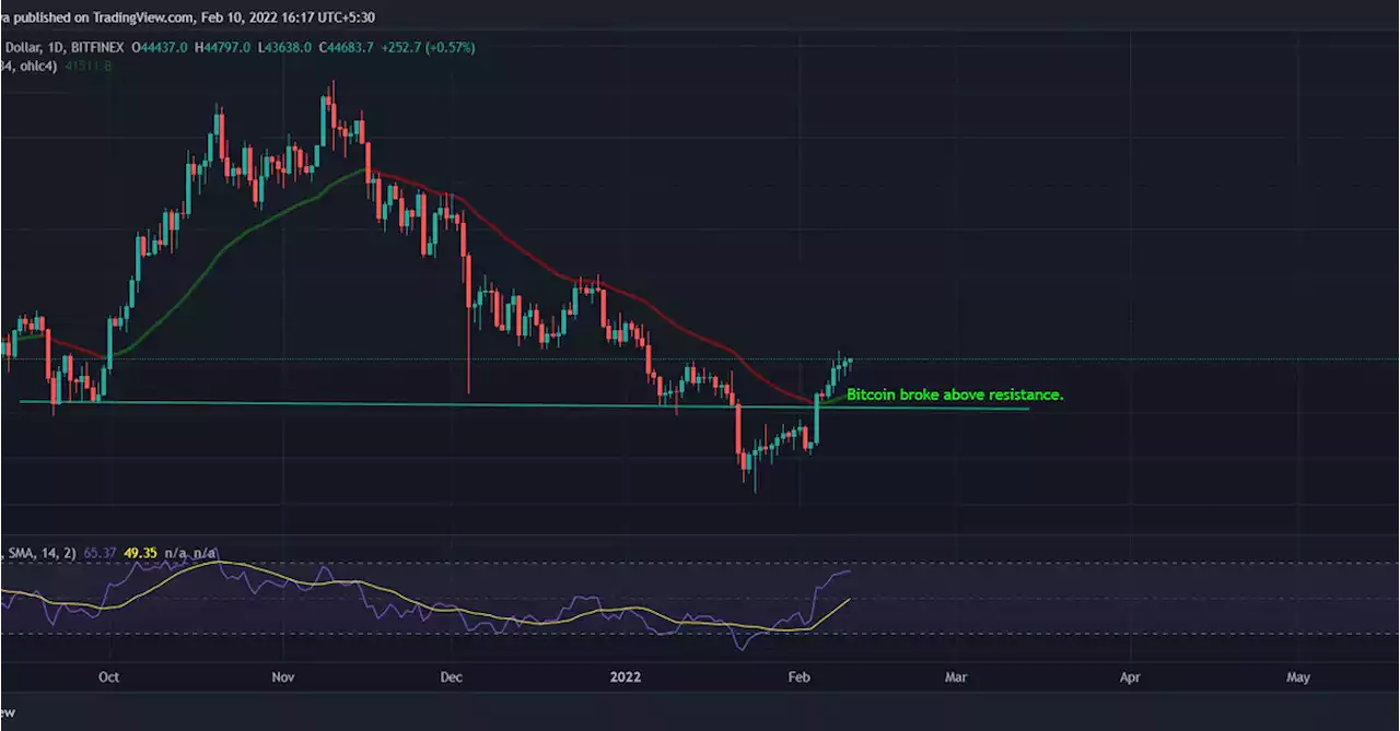 Crypto Markets Remain Flat as Bitcoin Sees Institutional Buying