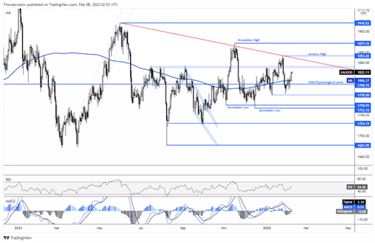 Gold Price Forecast: XAU Shines Amid Volatility Despite Surging Yields – CPI in Focus