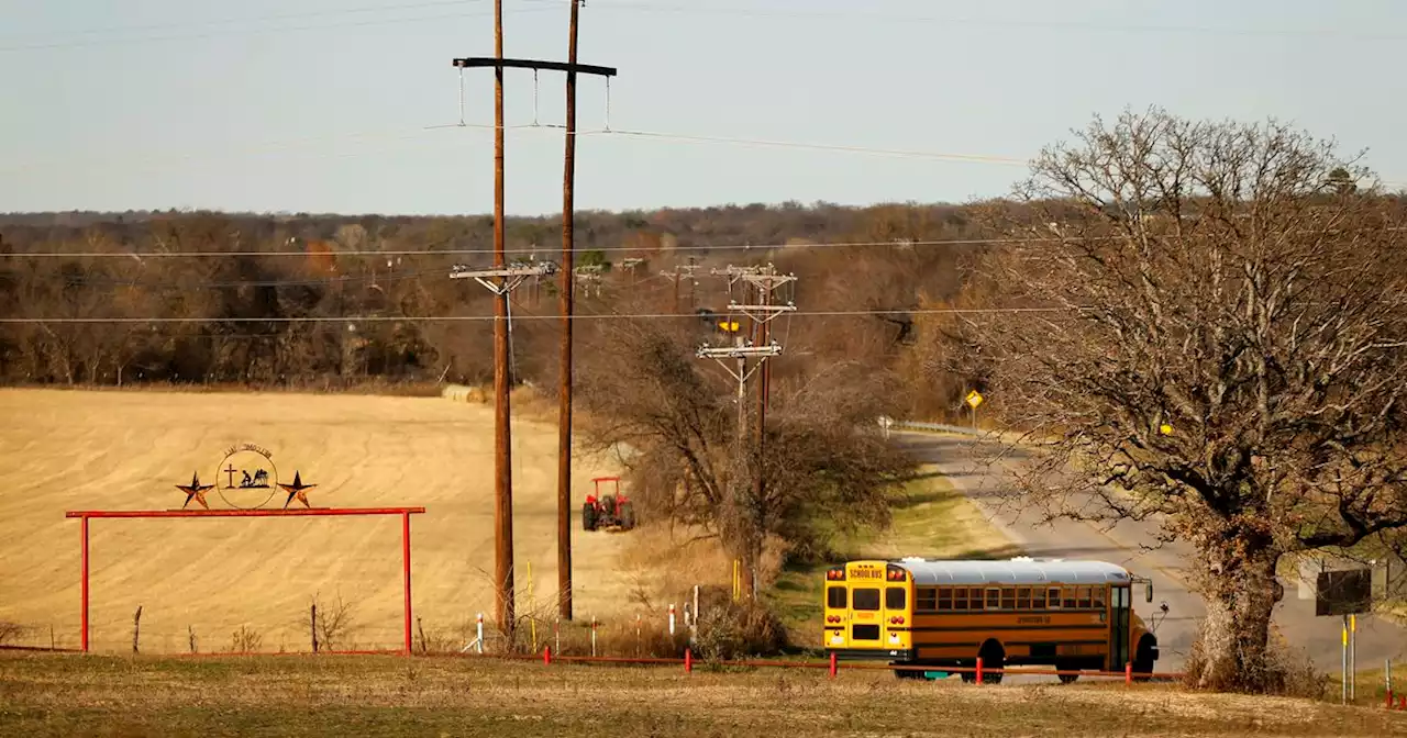 ‘Shock of pain’: Parker County boy recovers from dog attack; woman charged