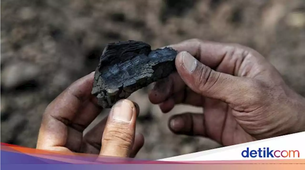 Tak Lagi Lewat Anak Usaha, PLN Beli Batu Bara Langsung ke Penambang