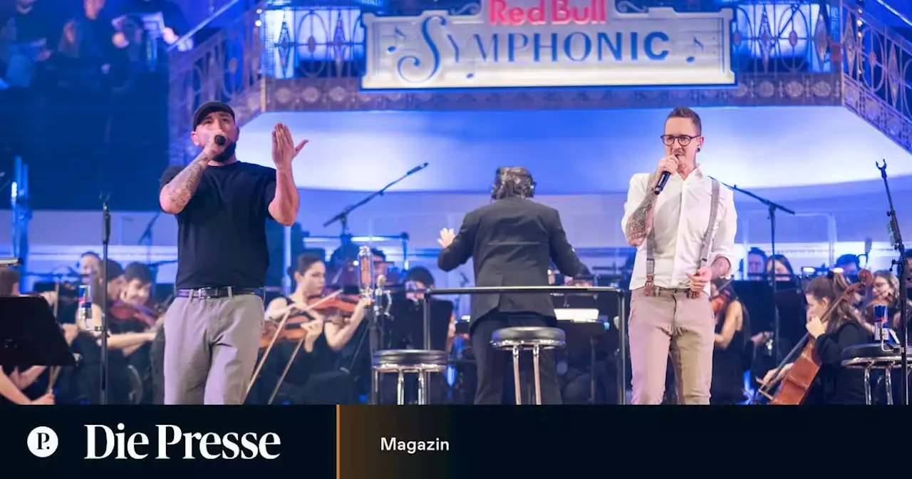 Seiler & Speer: Austropop, gut vergeigt