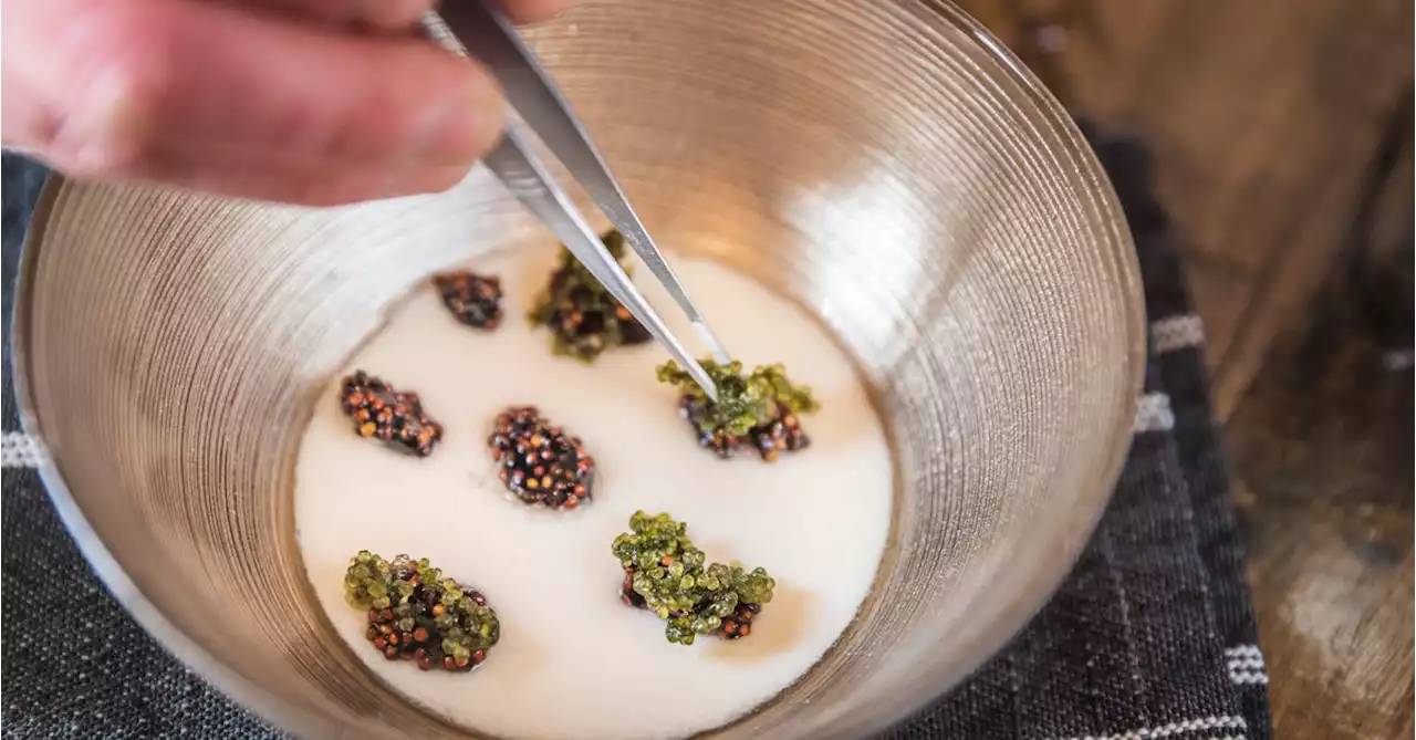 Vegan Caviar Service Is a New Signature of Luxury Dining