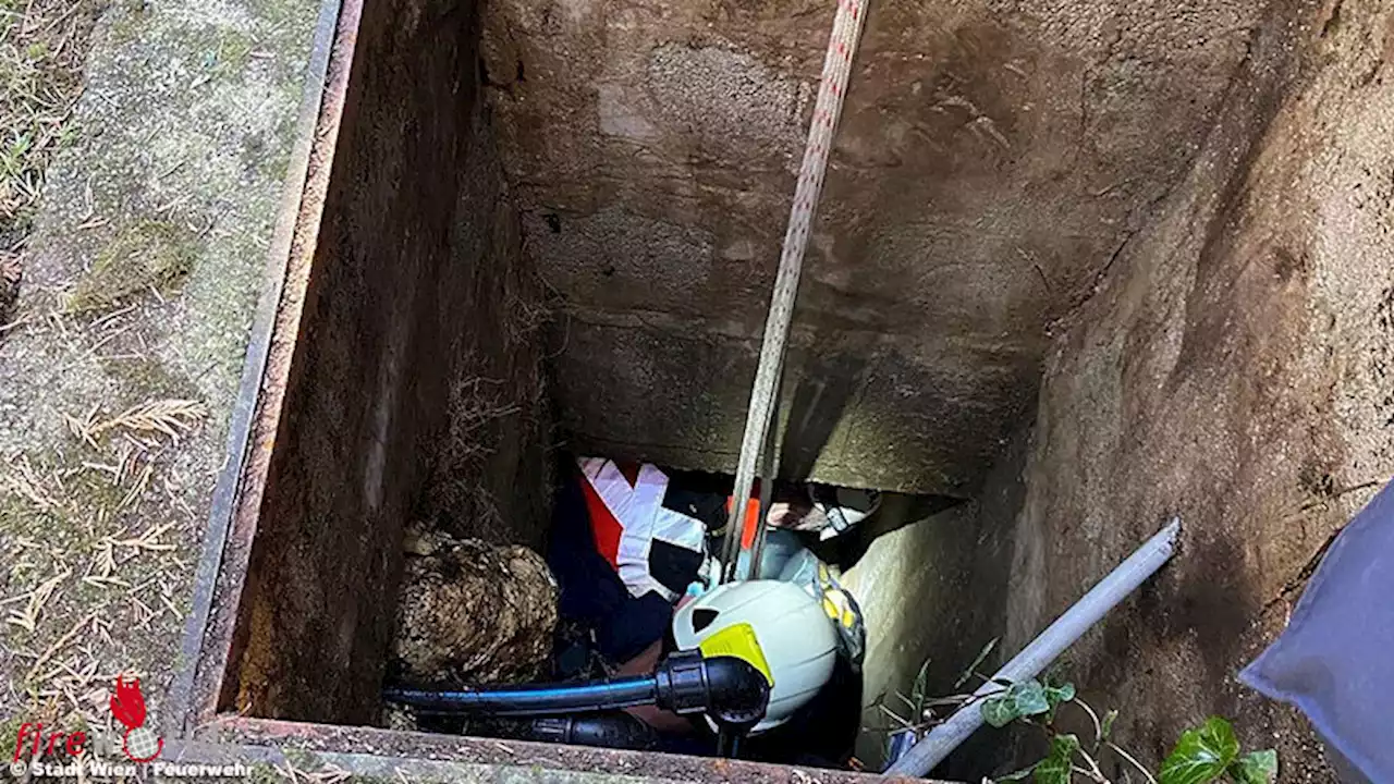 Wien: Mann stürzt in Schacht → Rettung eines Schwerverletzten