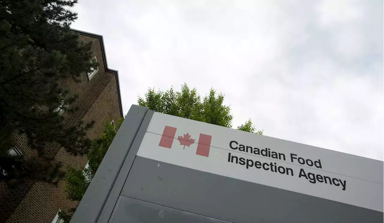 Hampton House brand chicken nuggets sold in B.C., Alberta, Saskatchewan and Manitoba