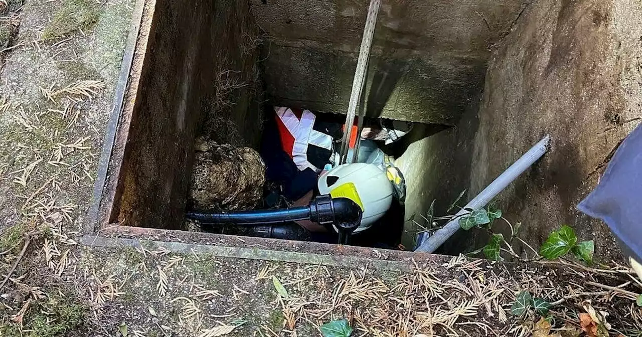 Mann vier Meter tief in engen Schacht gestürzt