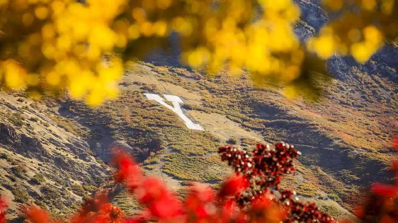 Office for Civil Rights dismisses complaint against BYU