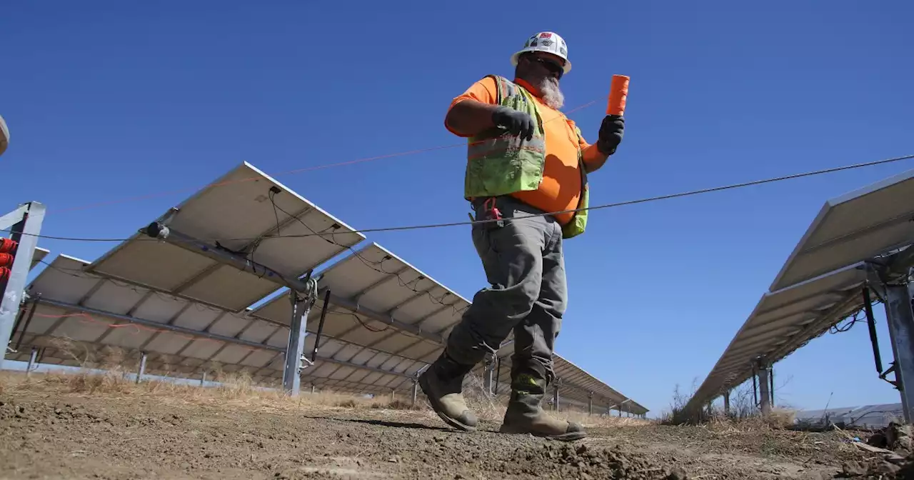 Want to conserve water and make clean energy? Build more solar farms in San Joaquin Valley