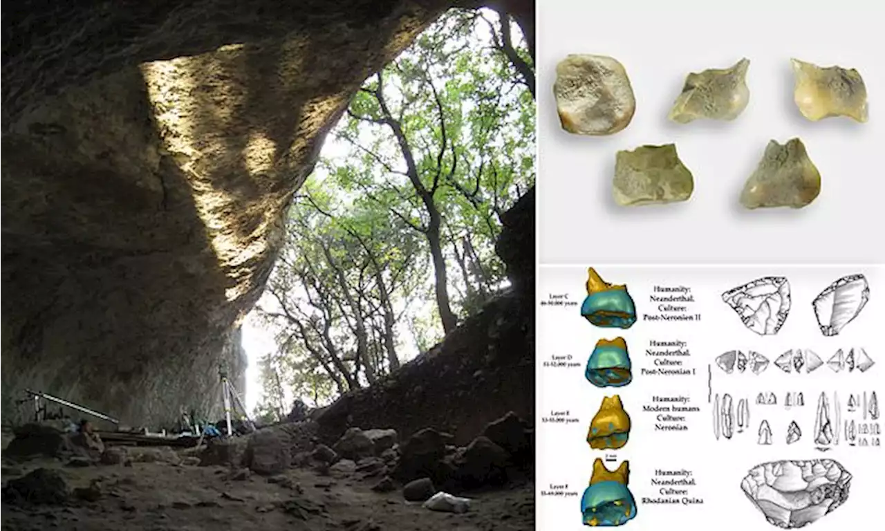 Modern human child's molar from 54,000 YEARS ago found in French cave