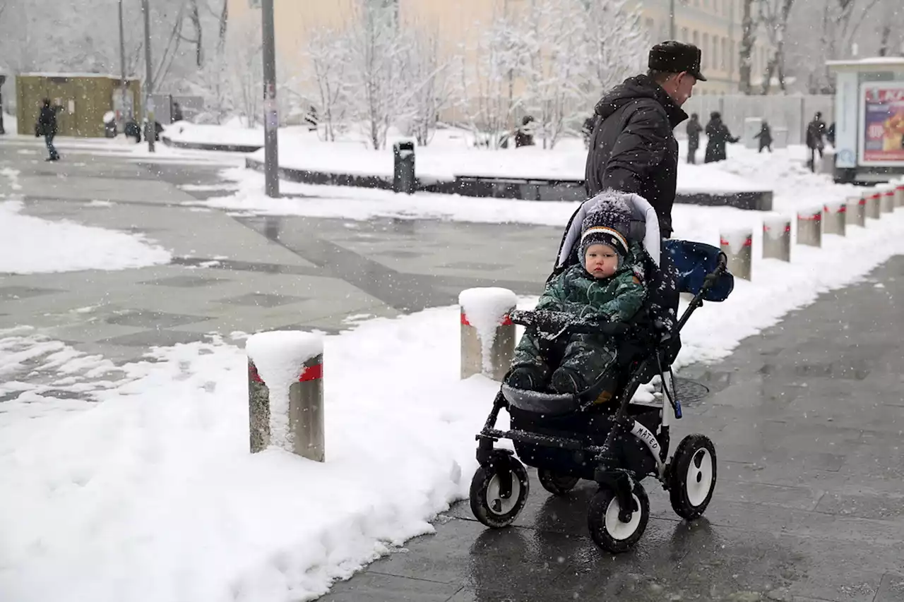 Москвичам пообещали плюсовые температуры и мокрый снег