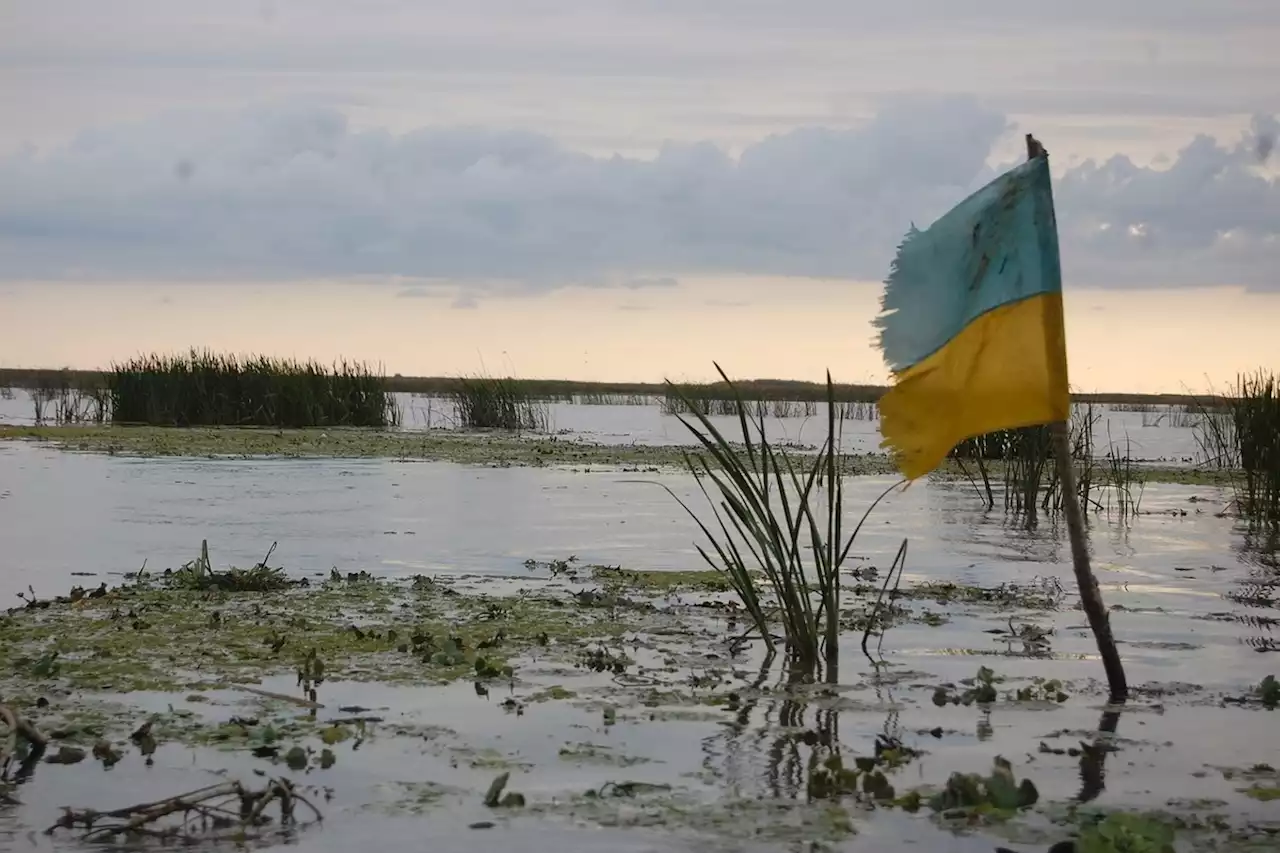 Постпред РФ в ОБСЕ: на Украине появились новые группировки националистов