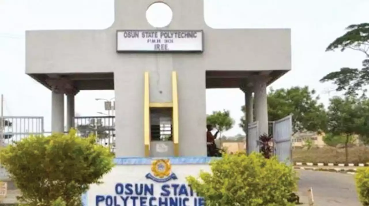 Killings, kidnappings: Osun poly warns staff, students, community declares curfew - Punch Newspapers