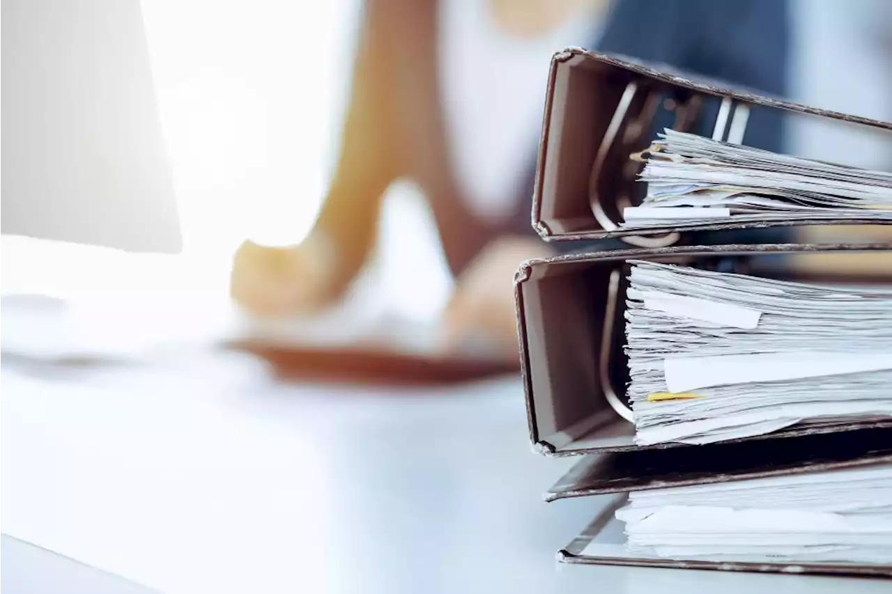 Irba: Former Sharemax auditors’ review application ‘incompetent’ and ‘premature’