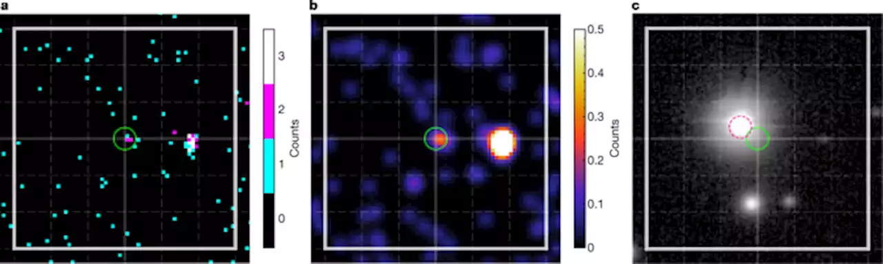 A white dwarf accreting planetary material determined from X-ray observations - Nature